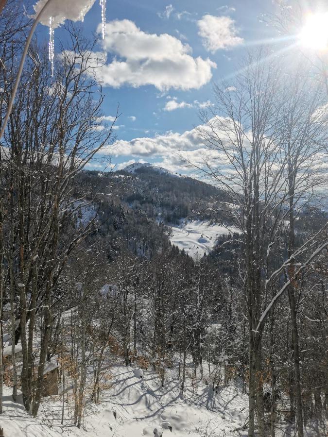 Вилла Vikendica Ceperkovic #1 Копаоник Экстерьер фото